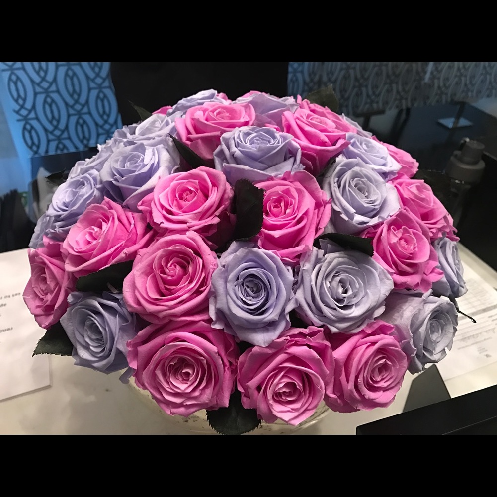 Meet your Posher, Brandi