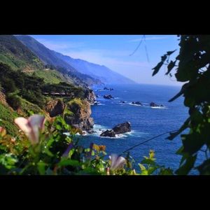 Meet your Posher, Roxanne