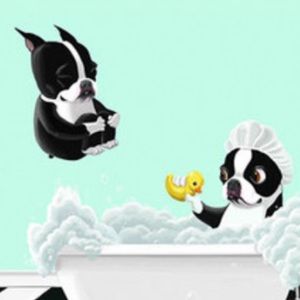 Meet your Posher, Bee