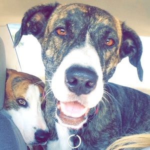 Meet your Posher, Danielle