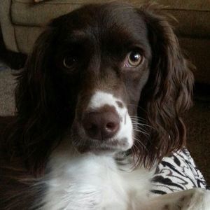 Meet your Posher, Jodi