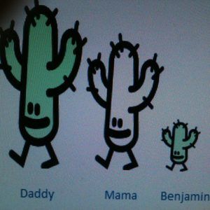 Meet your Posher, David