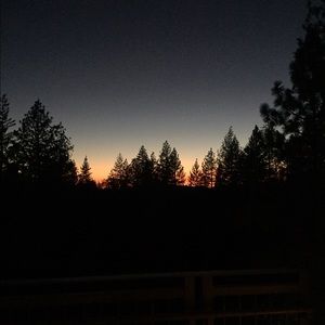 Meet your Posher, Callie