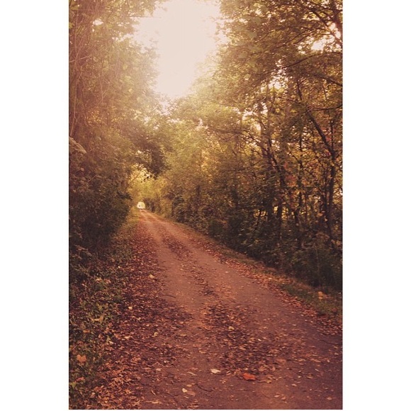 Meet your Posher, Catherine - Picture 1 of 1