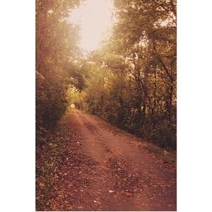 Meet your Posher, Catherine