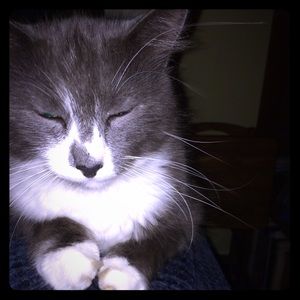 MAKE ME OFFERS OR ASK TO TRADE