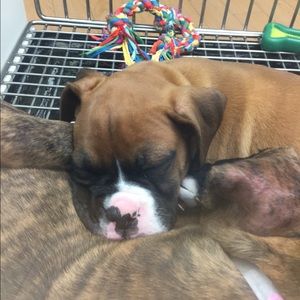 Meet your Posher, Jamie