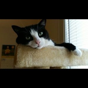 Meet your Posher, Kerry