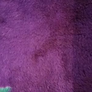 Meet your Posher, Bounmy