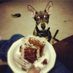 Meet your Posher, Nayra