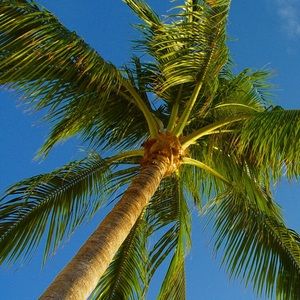 Meet your Posher, Cristyle