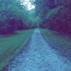 Meet your Posher, Summer