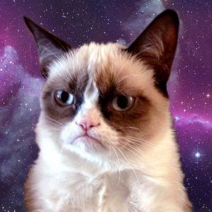 Meet your Posher, Jayme