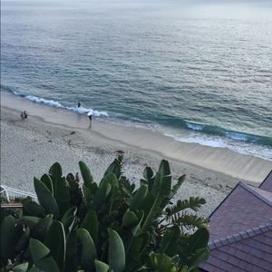 Meet your Posher, Robin