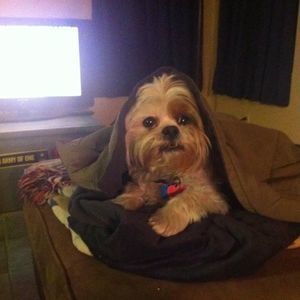 Meet your Posher, Kate