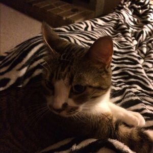 Meet your Posher, Rheanna