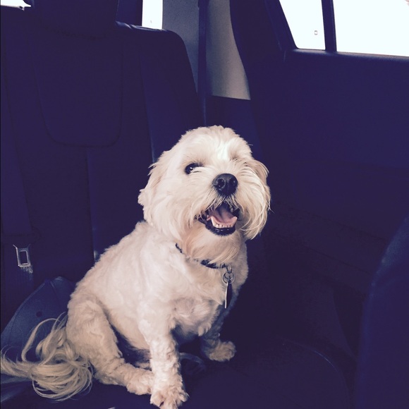 Meet your Posher, Leslie