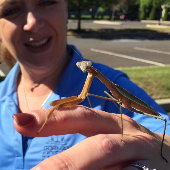 Meet your Posher, Cheri