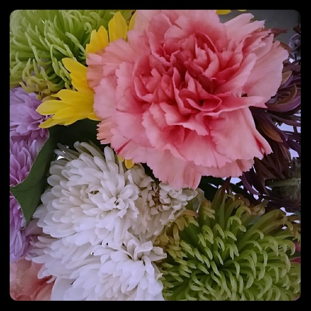 Meet your Posher, Trina