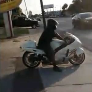 Meet your Posher, Teddy