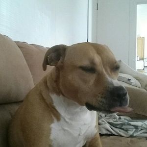 Meet your Posher, Blake