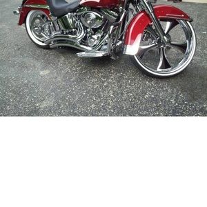 Meet your Posher, Ellis