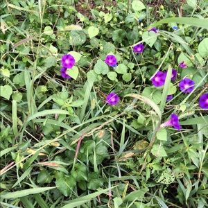 Meet your Posher, Rosa