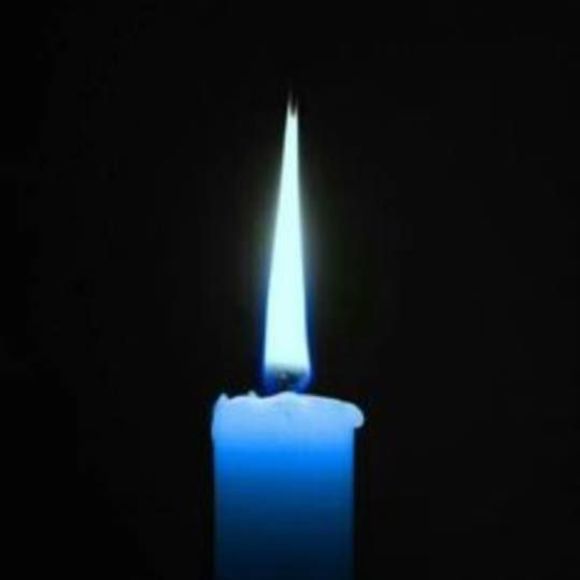 Meet your Posher, Amy - Picture 1 of 1