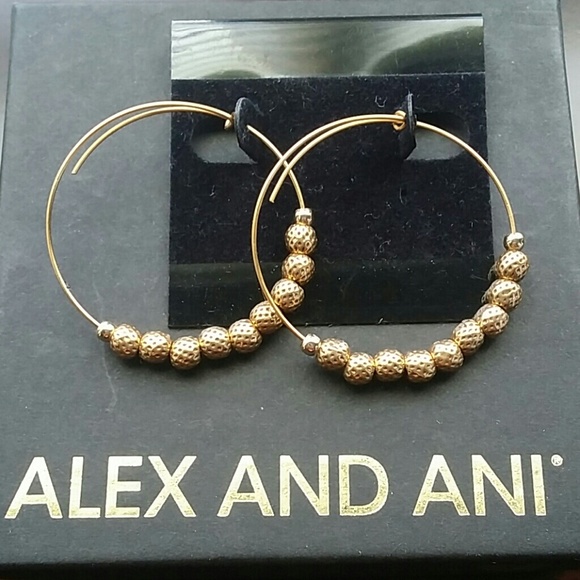 Alex and Ani Jewelry - 🔴NWT Alex Ani Euphrates Endless Hoop Earrings $68