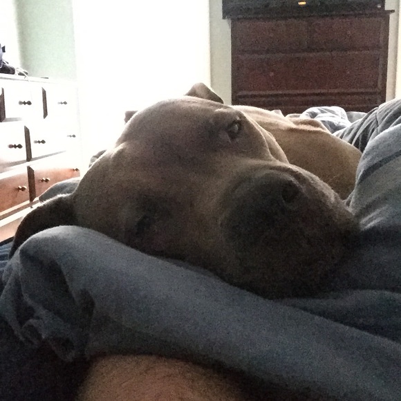 Meet your Posher, Sean - Picture 1 of 1