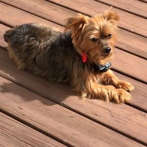 Meet your Posher, Steven