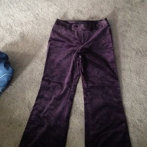 Purple velvet dress pants