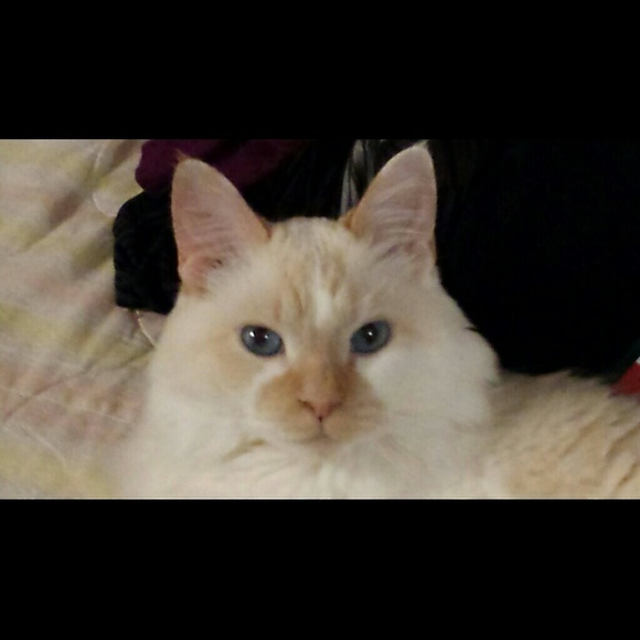 Meet your Posher, Andi