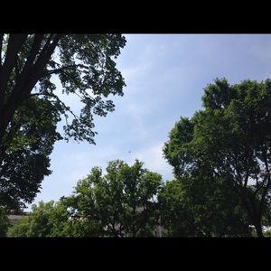 Meet your Posher, Dami