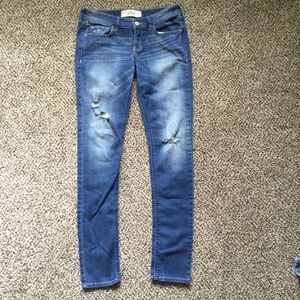 Hollister Jean