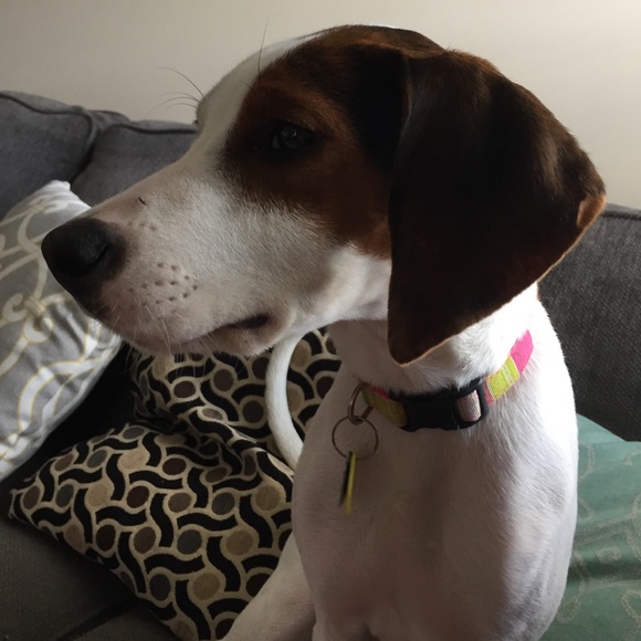 Meet your Posher, Jenn - Picture 1 of 1