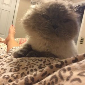 Meet your Posher, Rebekah