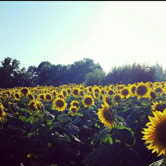 Meet your Posher, Kristin