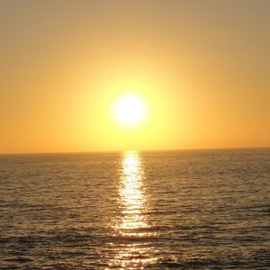 Meet your Posher, Janell