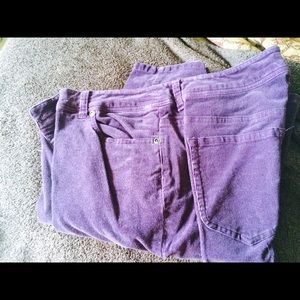 Purple( darker than photo) cords