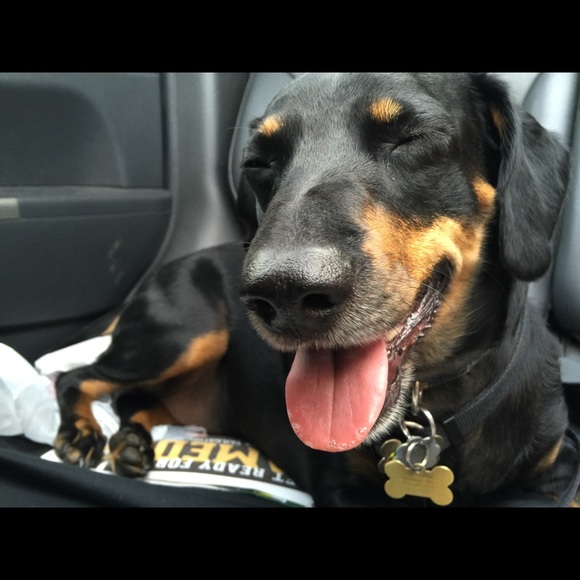 Meet your Posher, Maggie