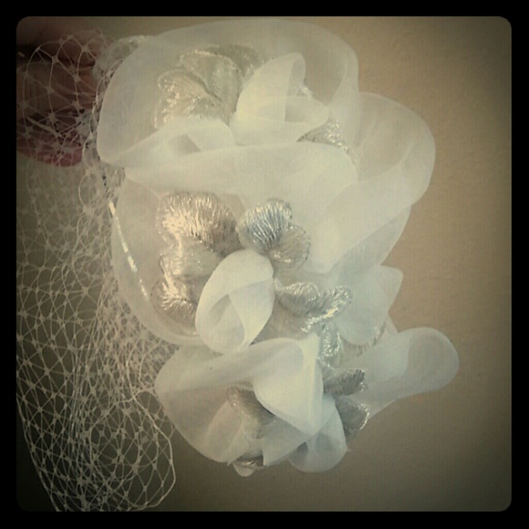 David's Bridal Bridal Bird Cage Veil