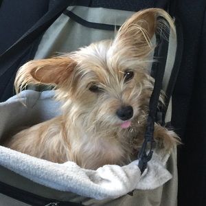 Meet your Posher, Donna