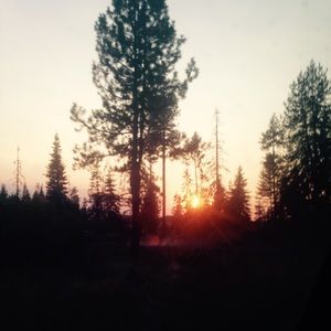 Meet your Posher, Sharlie