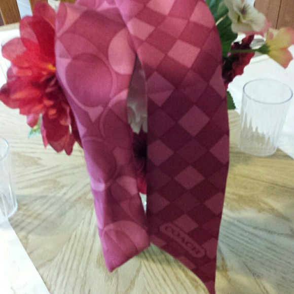 Coach ponytail scarf