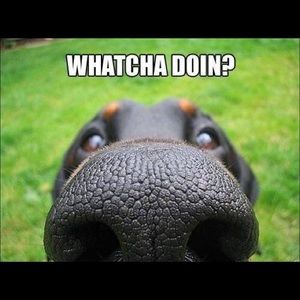 💥 Come Visit My Closet ! 💥