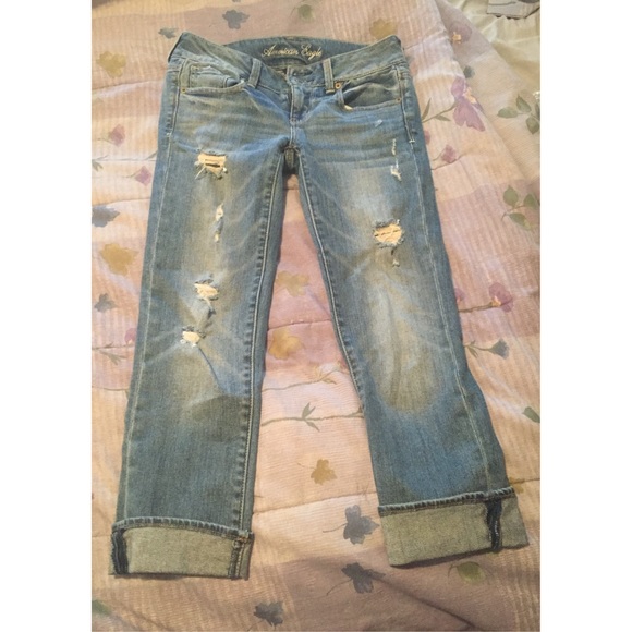 American Eagle Artist Crop Pants