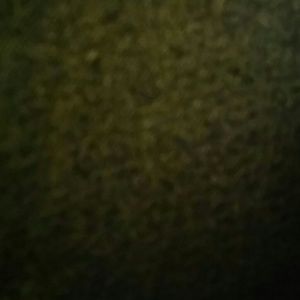 Meet your Posher, Alondra