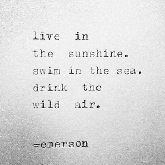 • Ended • - Picture 2 of 2