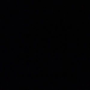 Meet your Posher, Irma